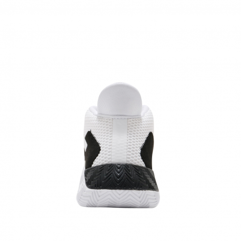 court vision 2