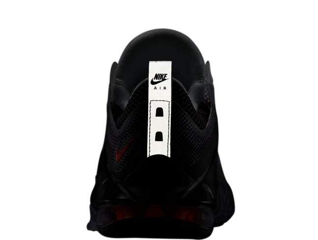 lebron 12 low air max 95