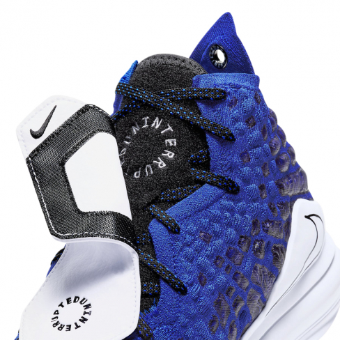 lebron uninterrupted shoes
