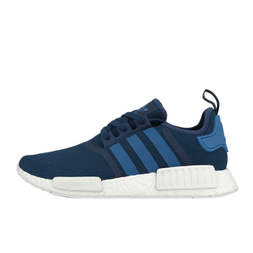 nmds r1 blue