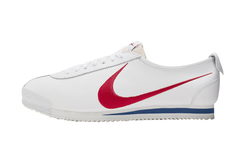 cortez shoe dog