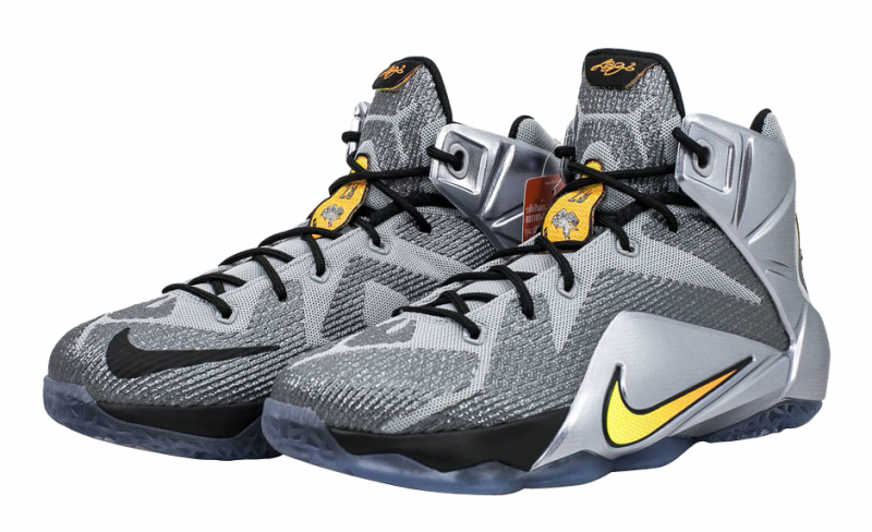 lebron xii gs