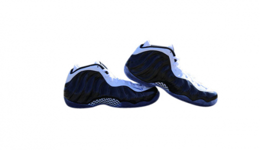 nike air foamposite one concord